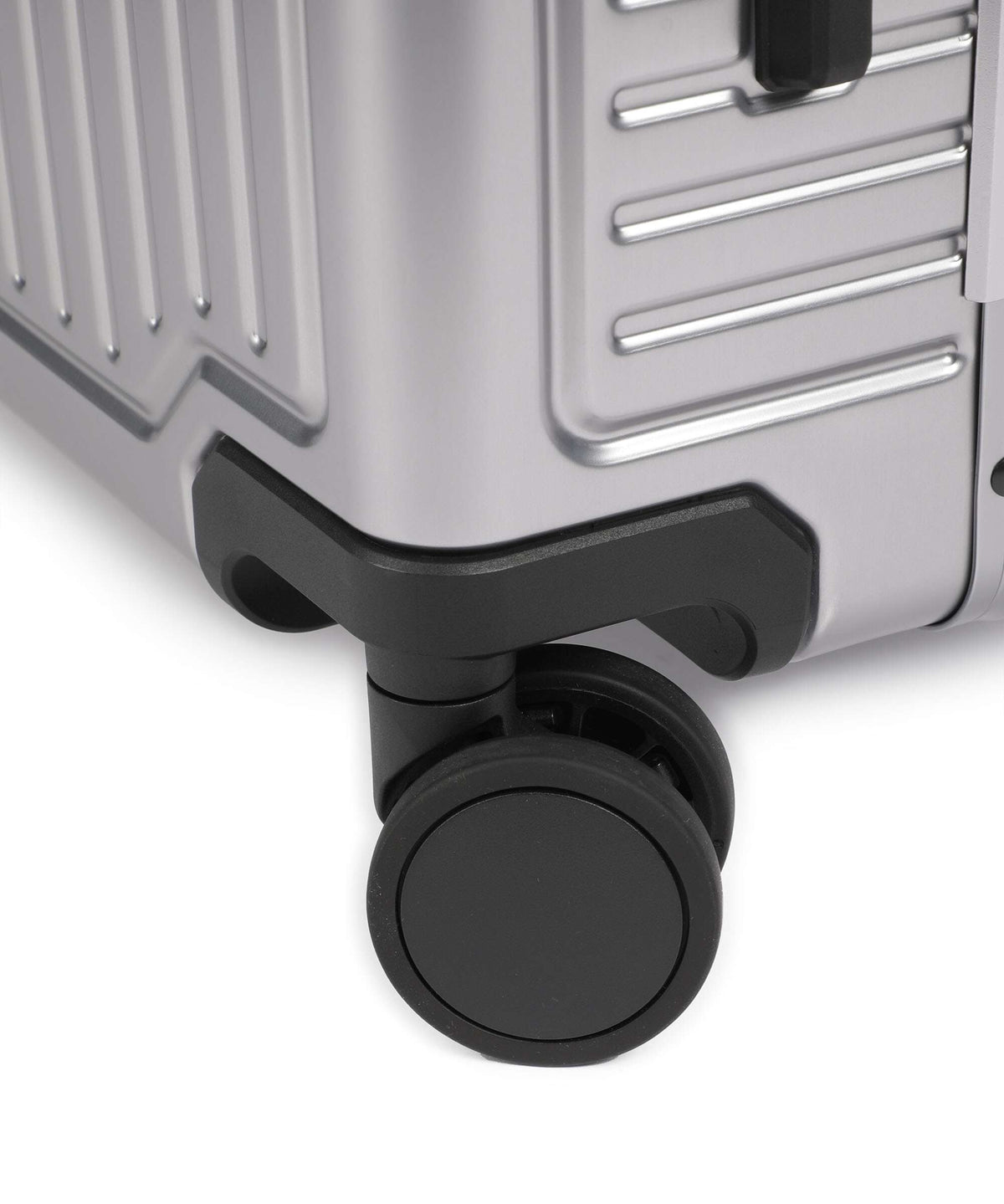 Echolac Shogun Classic M Spinner (4 wheels) dark grey