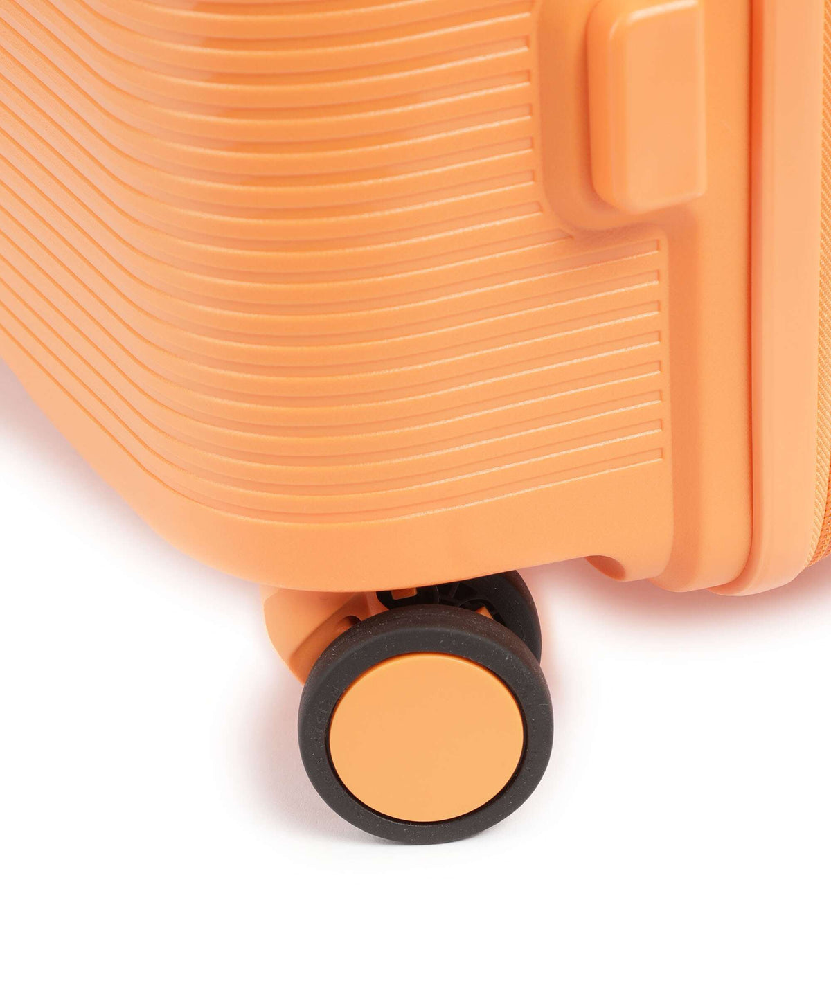 Echolac Forza M Spinner (4 wheels) apricot crush