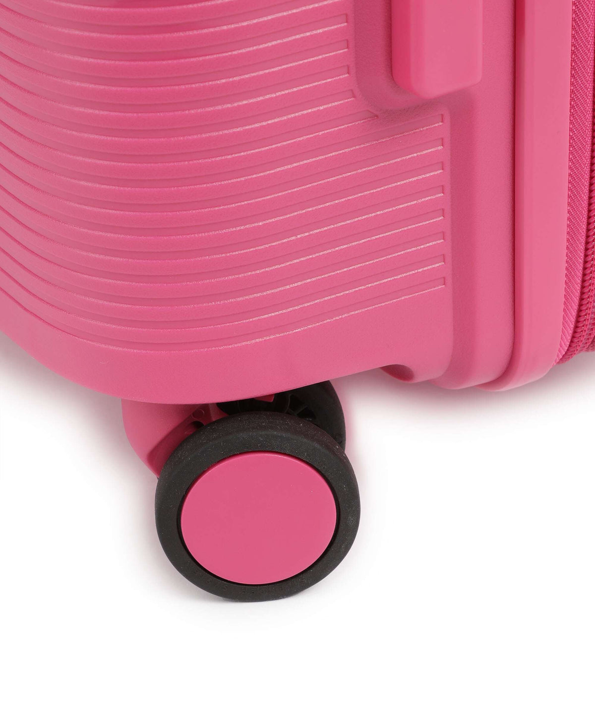 Echolac Forza M Spinner (4 wheels) luminous pink