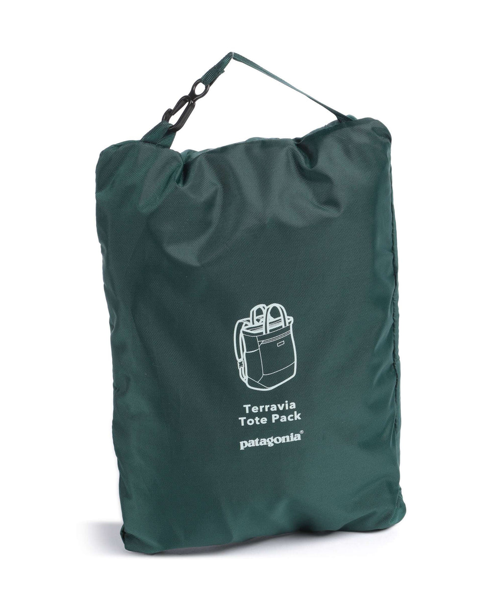 Patagonia Terravia Backpack bag cascade green