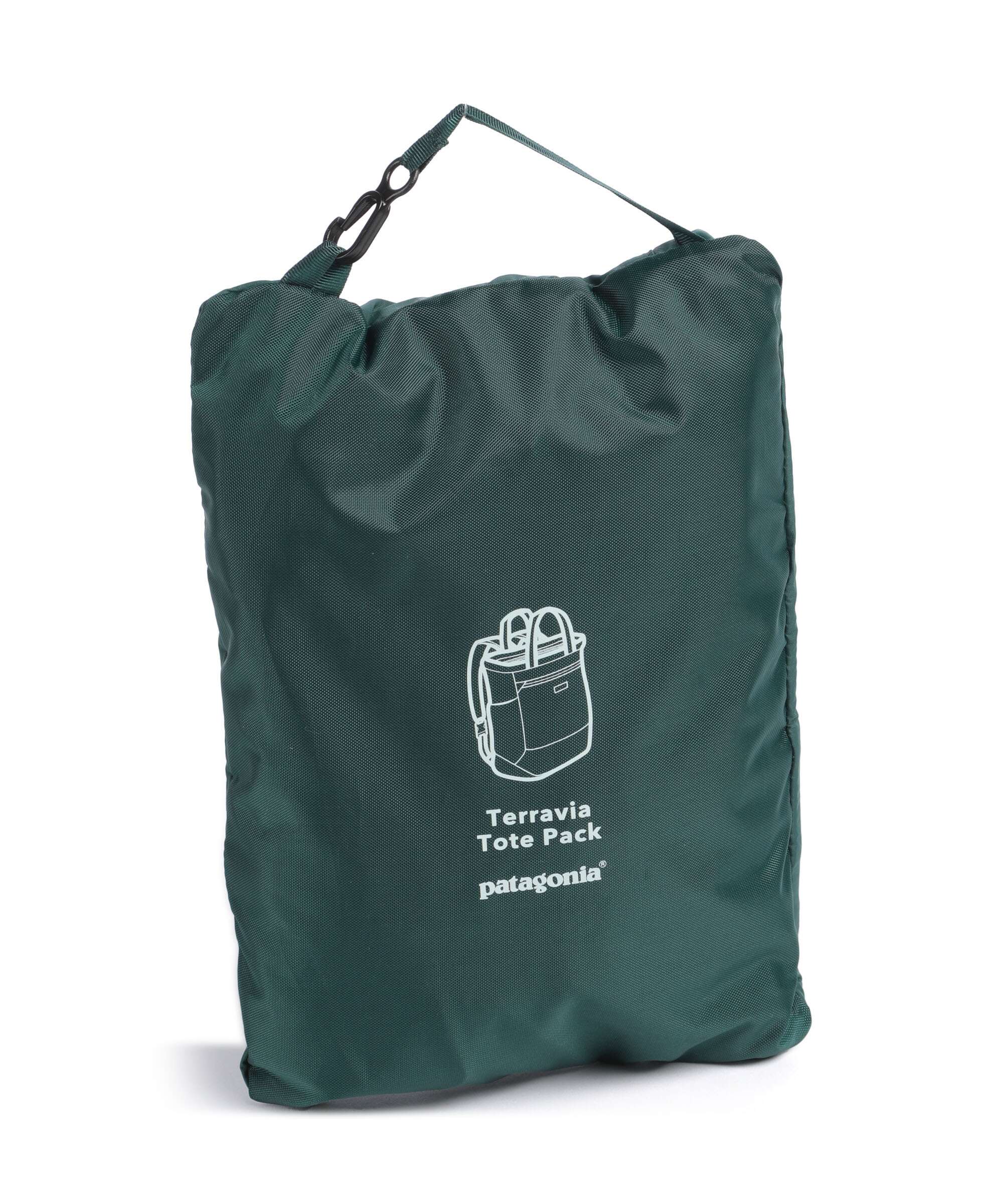 Patagonia Terravia Backpack bag cascade green