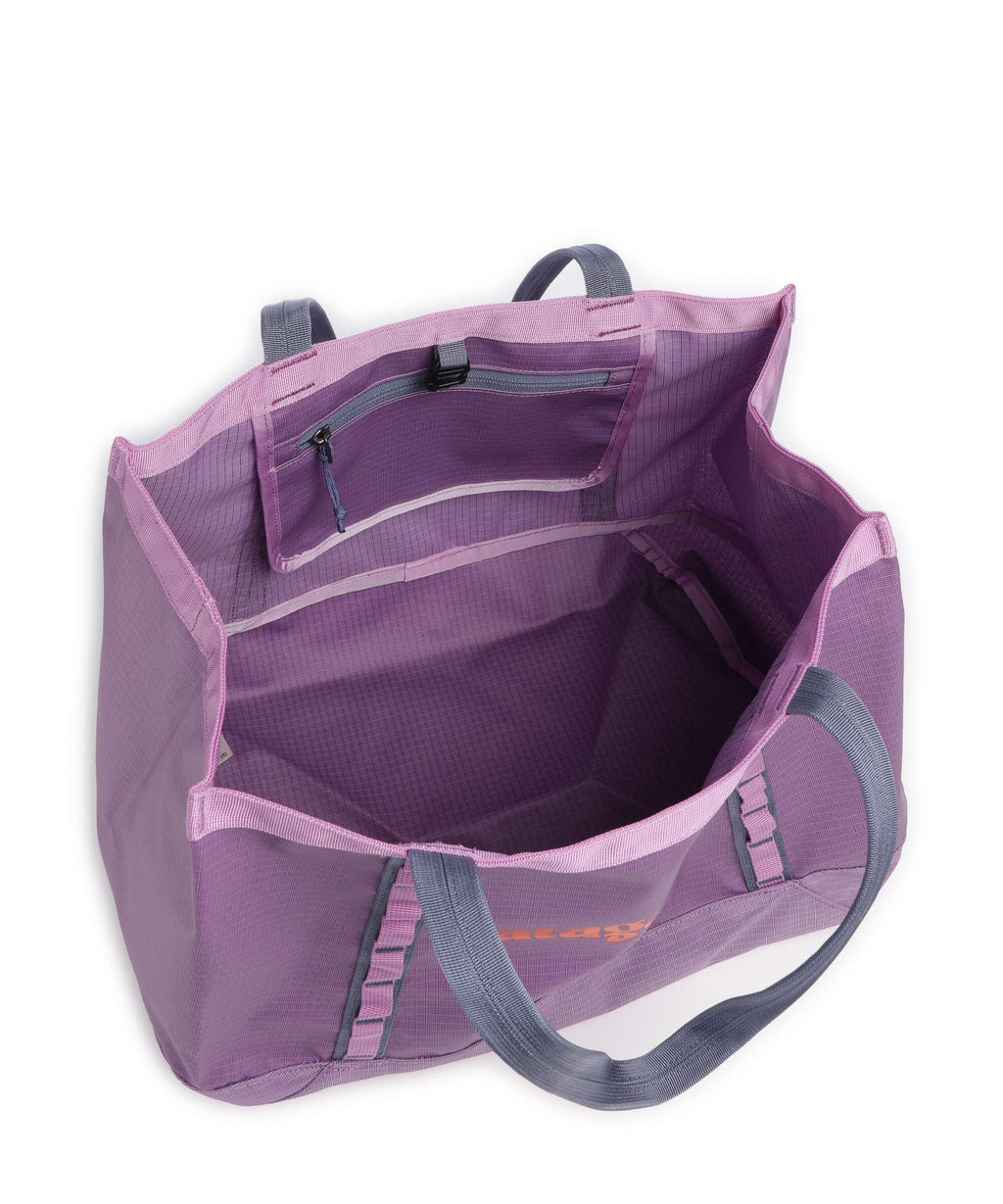 Patagonia Black Hole 25 Tote bag brisk purple