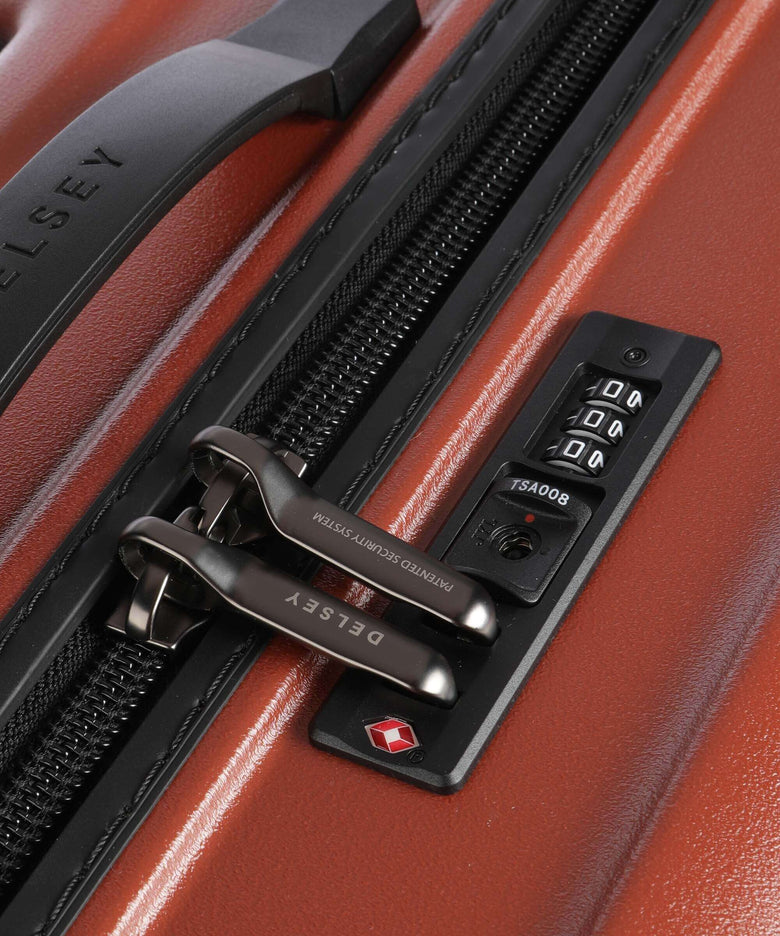 Delsey Paris Turenne 2.0 Spinner (4 wheels) backstein