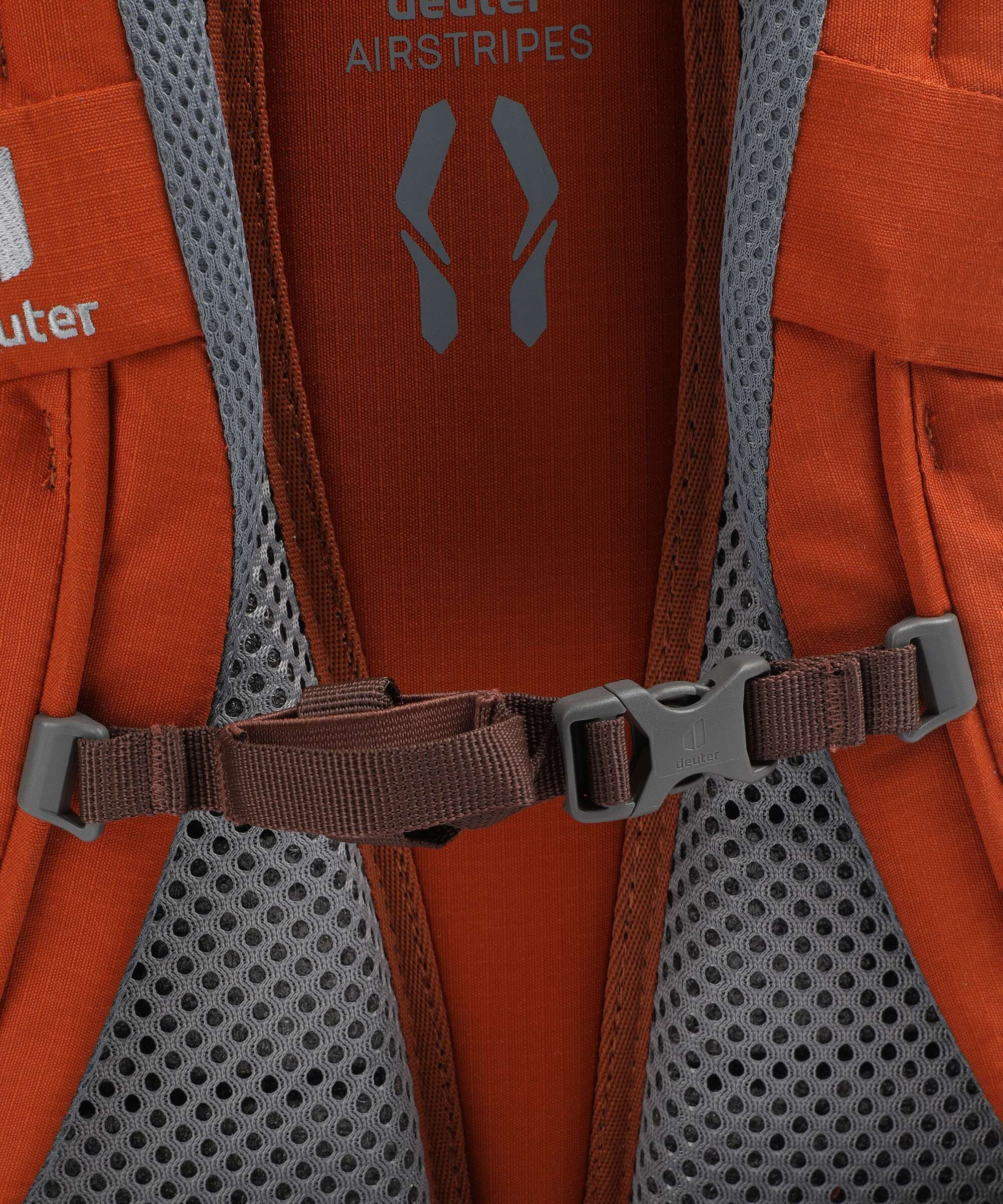 Deuter Walker 24 Backpack chestnut/umbra