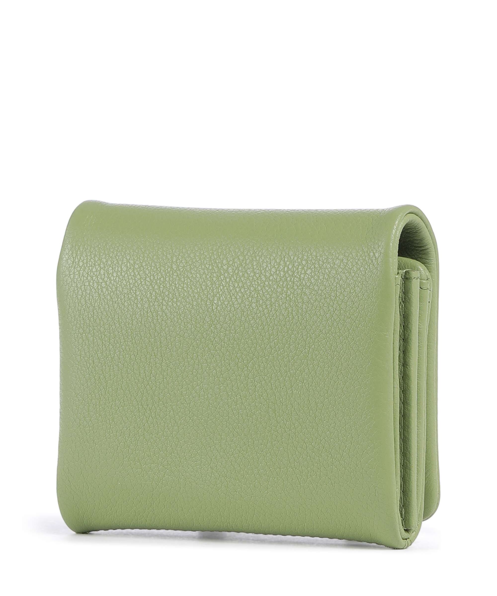 Radley London Mallow Street Wallet apple