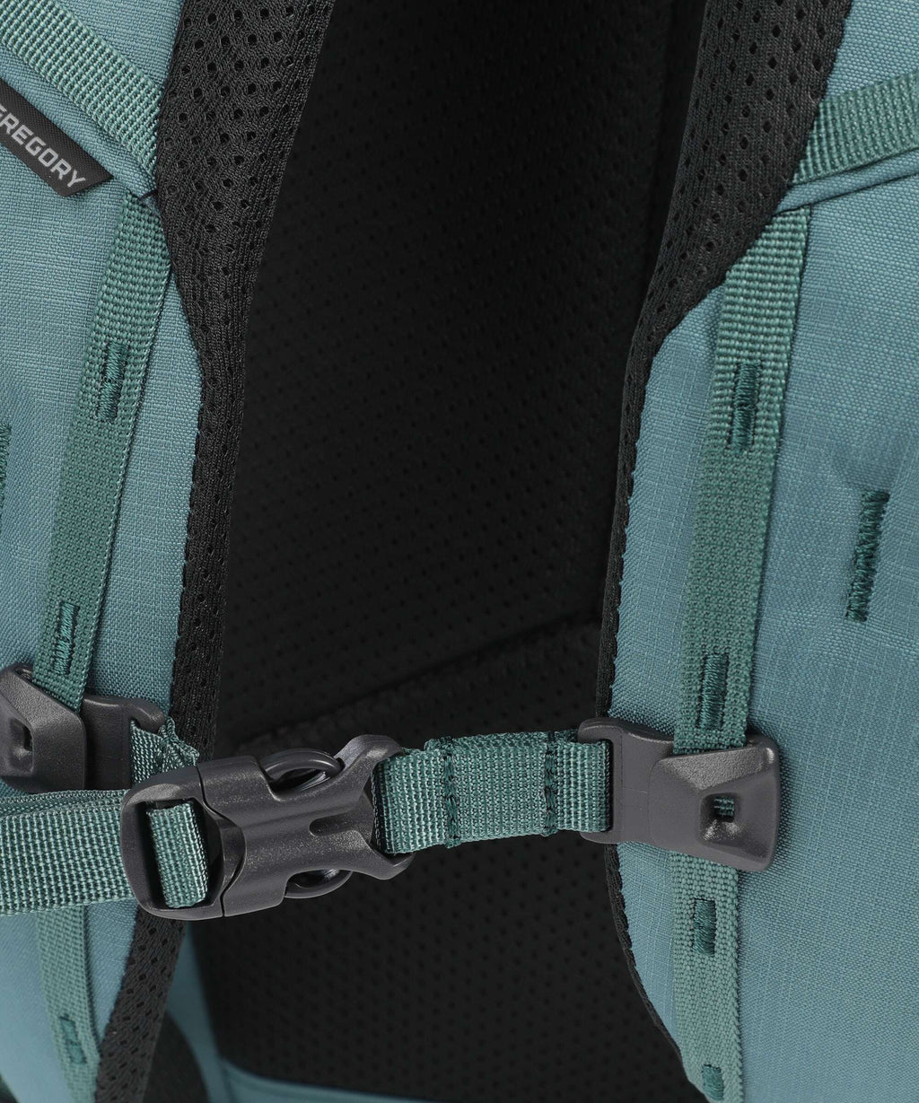 Gregory Retna 20 Backpack pool party