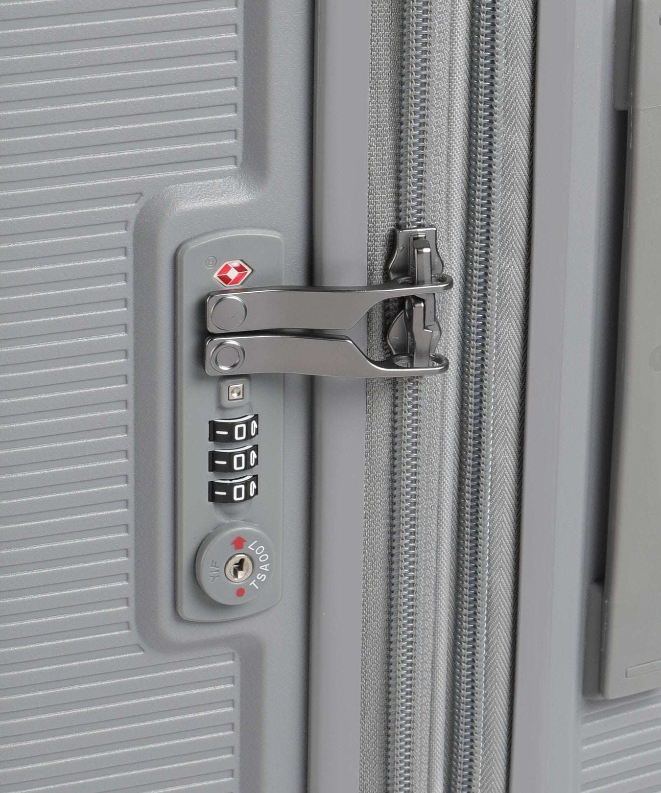 Echolac Forza L Spinner (4 wheels) arctic grey