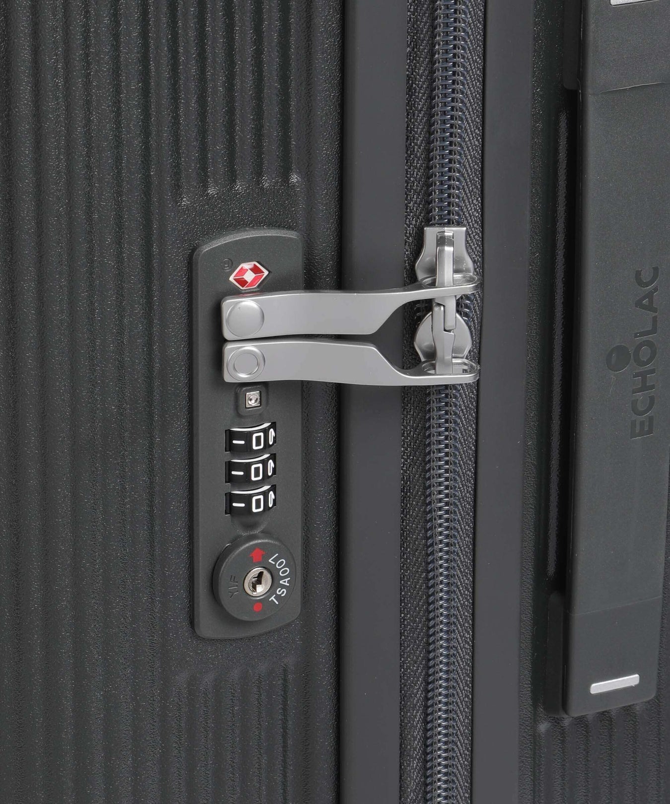 Echolac Dynasty M Spinner (4 wheels) dark grey