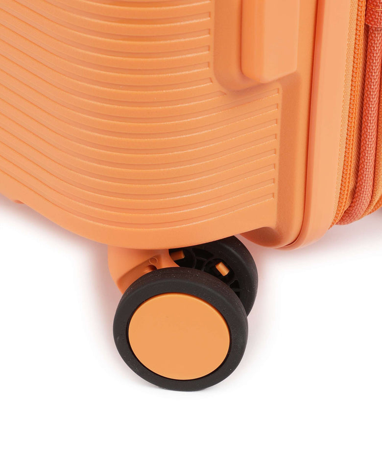 Echolac Forza S Spinner (4 wheels) apricot crush