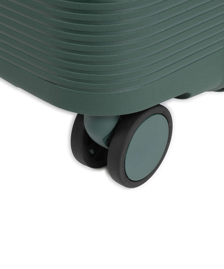 Echolac Forza L Spinner (4 wheels) pine green