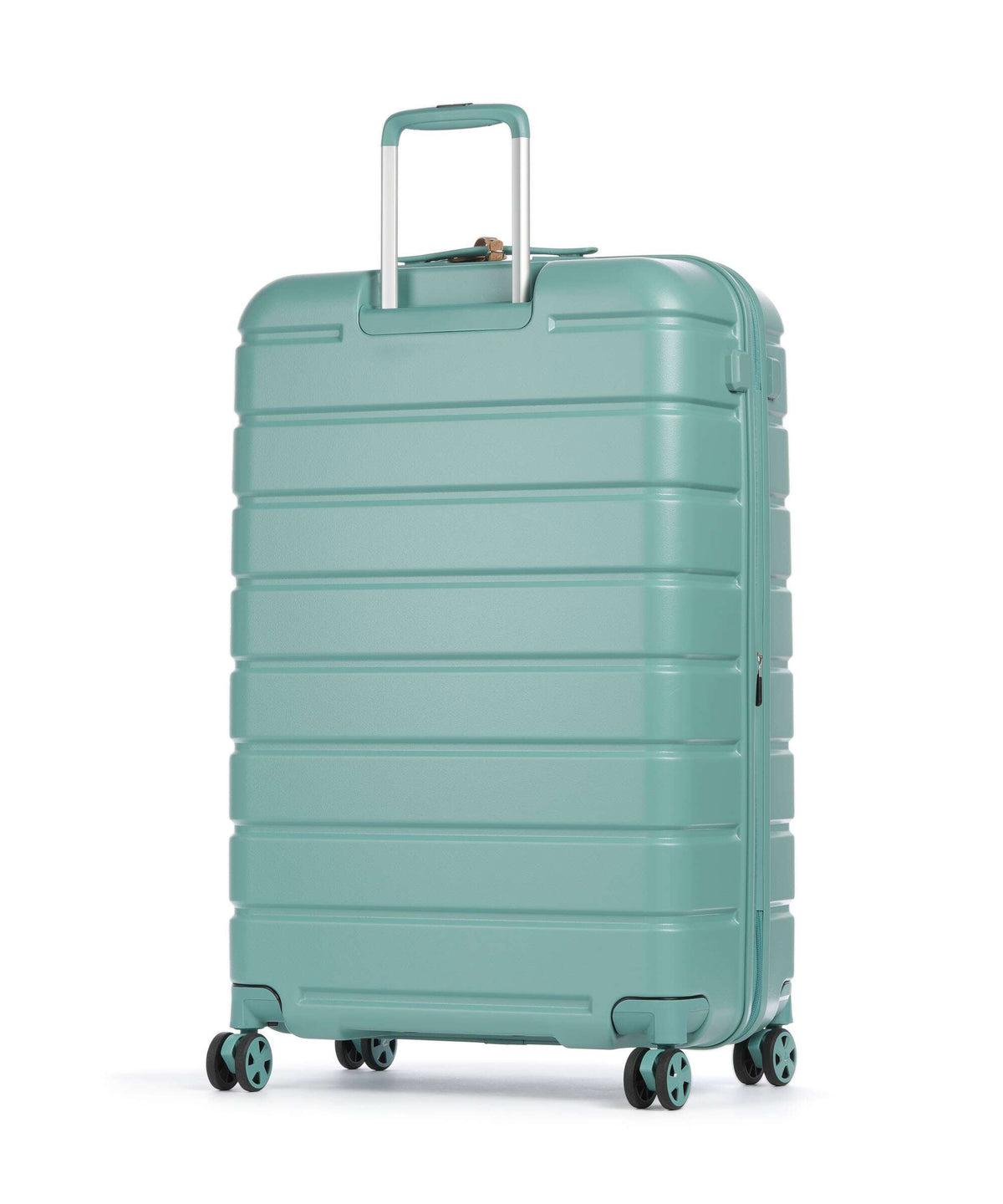 Roncato ReLife Spinner (4 wheels) salvia