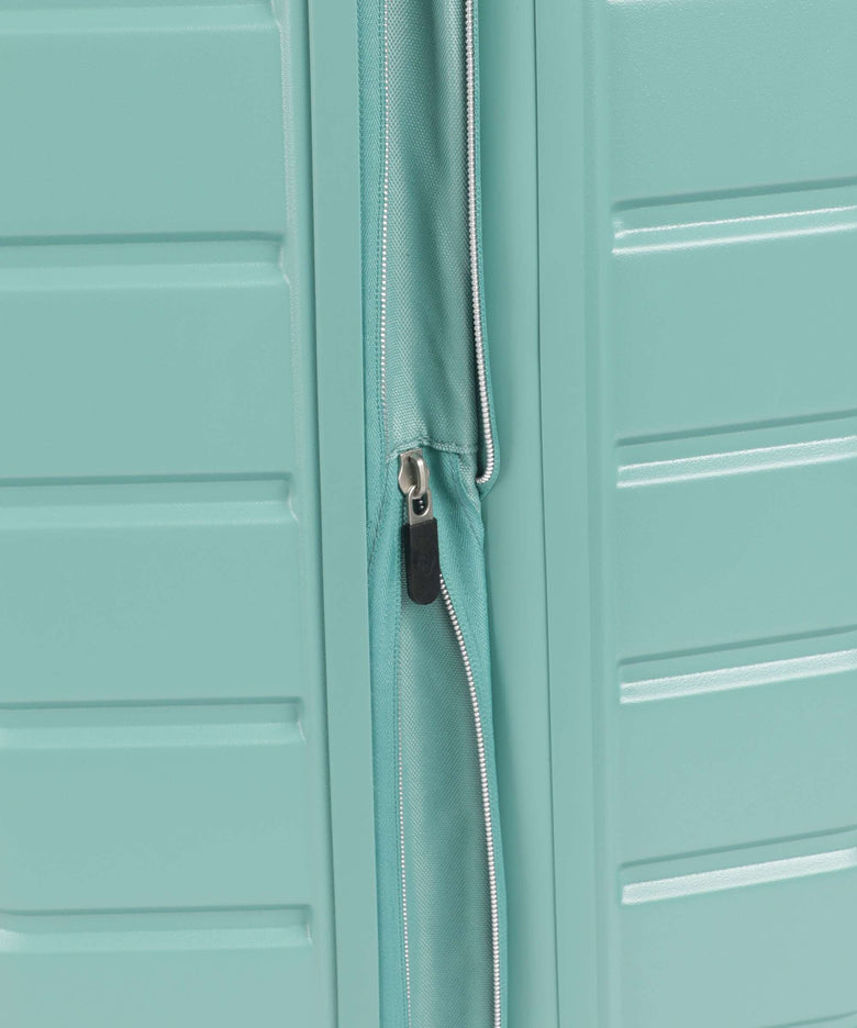 Roncato ReLife Spinner (4 wheels) salvia